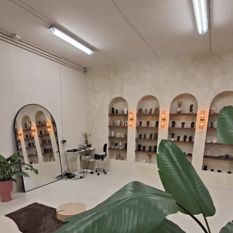 Studio mijn zwangere buik tweeling